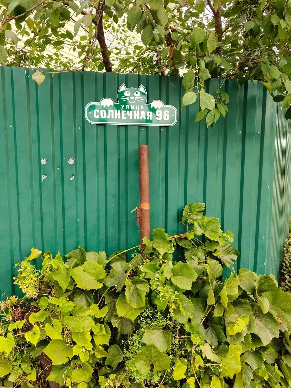 Исполнилось ровно 15 лет, как мы построили дом за городом и начали в нём жить. По этому...