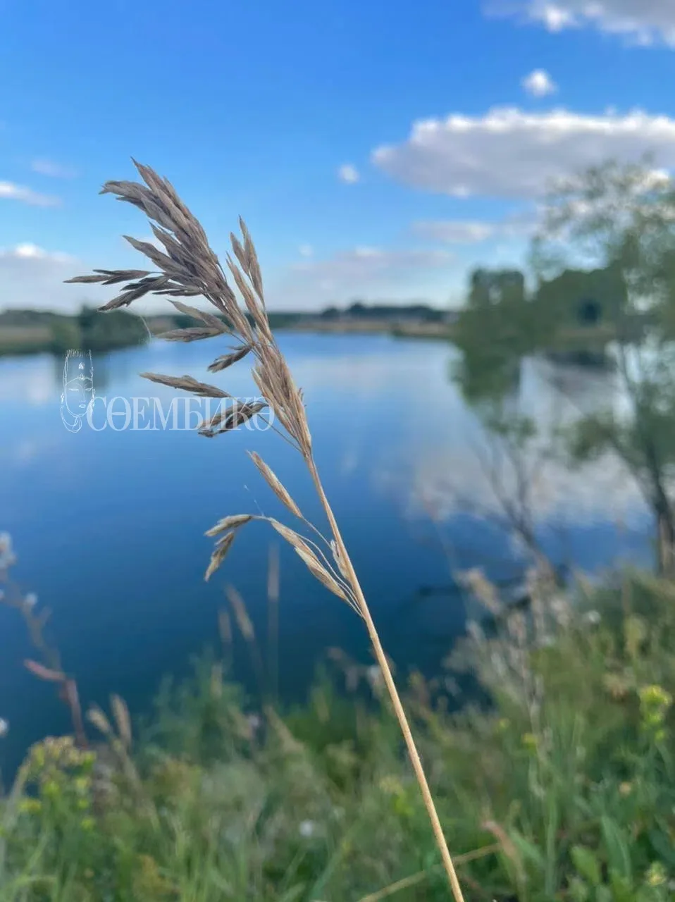Роберт Миңнуллин