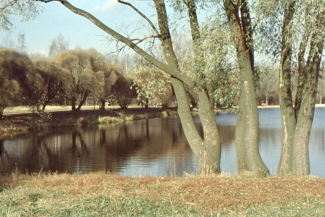 Осень на прудах в Измайловском парке, 1993 год 🍂