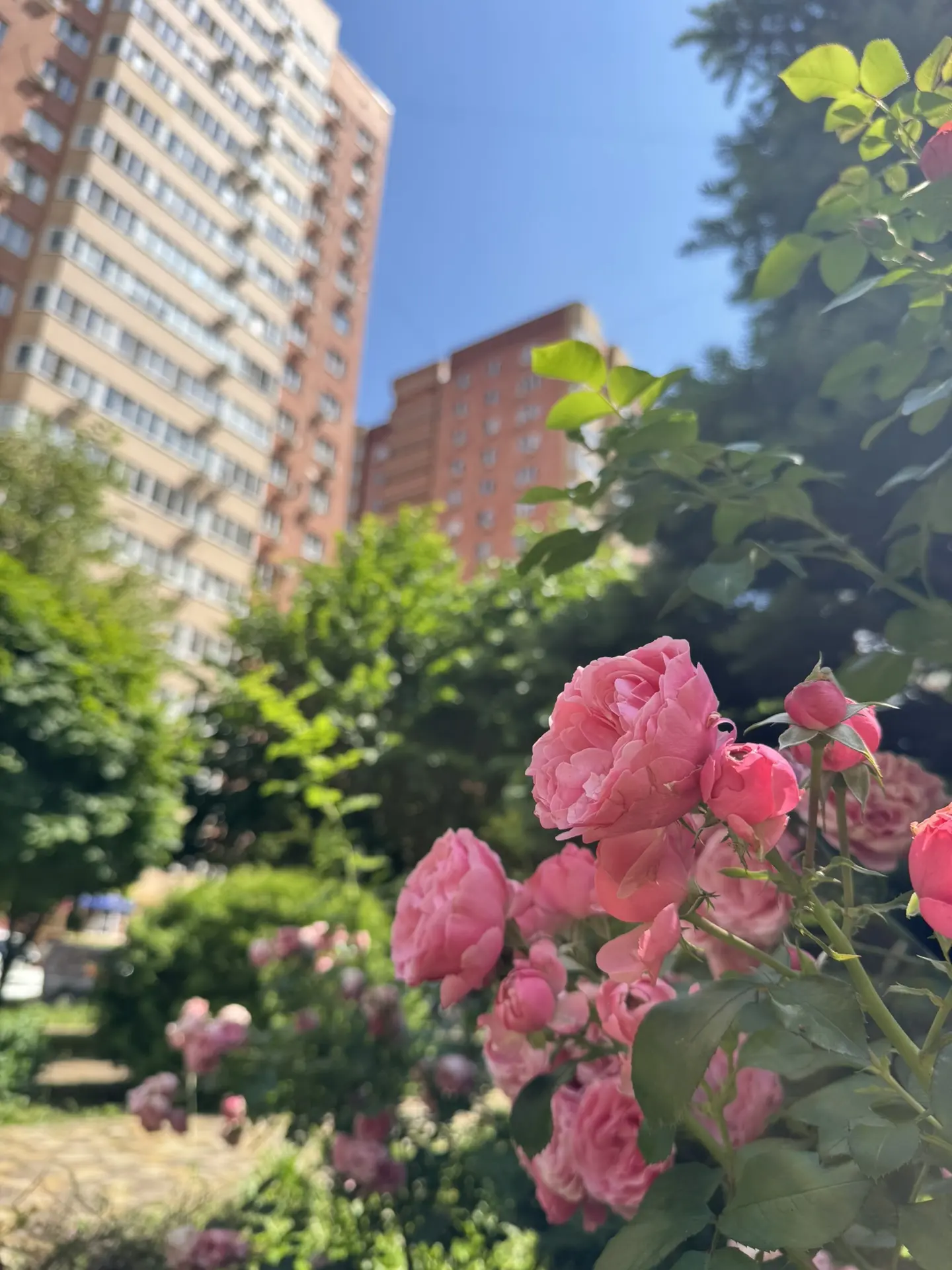 Доброе утро, Губернский!

🌤️Сегодня переменная облачность, без осадков
🌡️Температура: +23…+28°
💨В