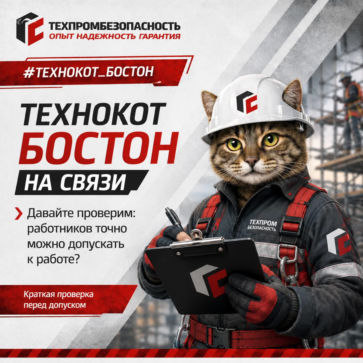 🐾 Технокот Бостон на связи