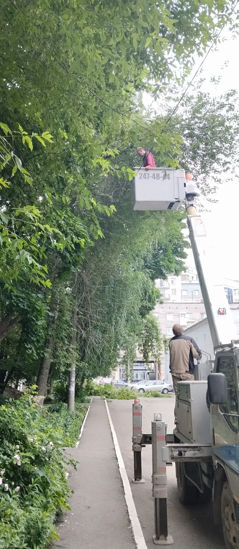 ✅ Произведен спил аварийных деревьев на территории дома:

📌 ул. Екатерининская, д.52

Работы на выс