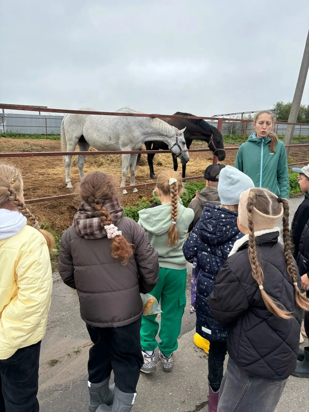 День, полный доброты и новых открытий! 🐴🍎
