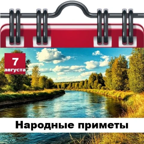 Народные приметы 7 августа