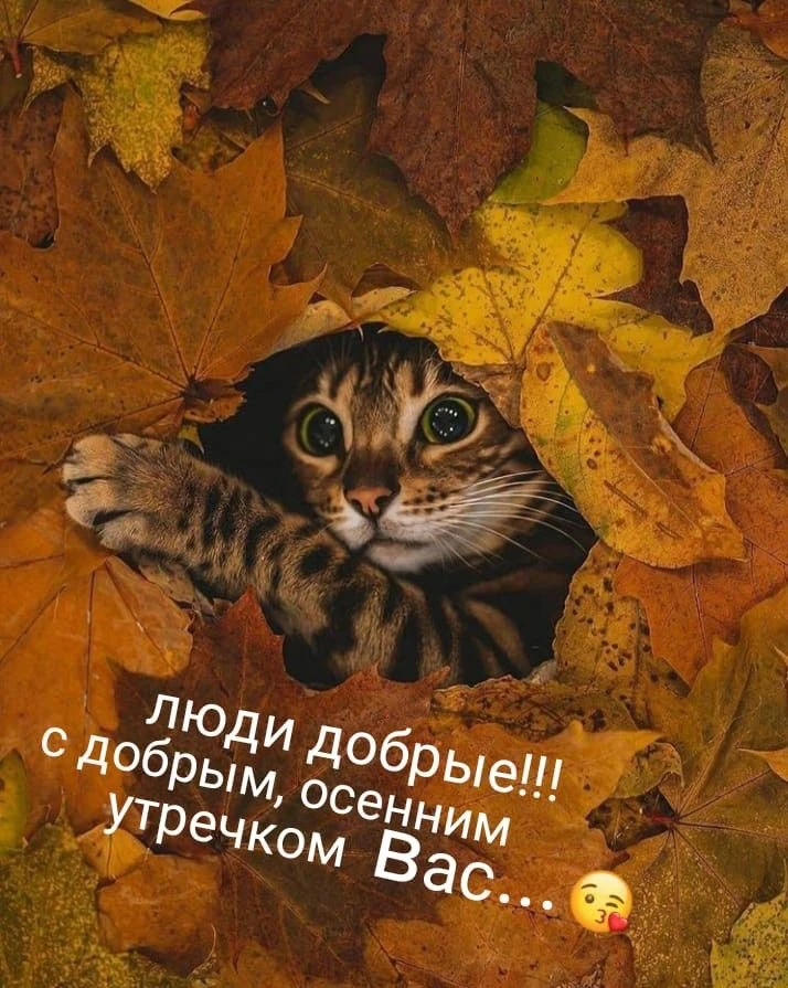 КРАСИВЫЕ ОТКРЫТКИ ТУТ💖