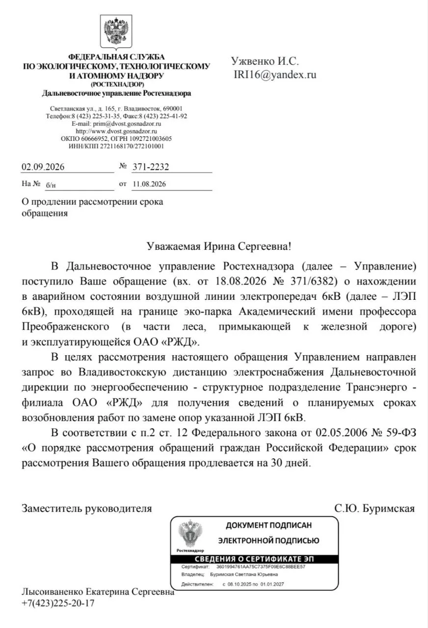 Осень задаёт атмосферу — тема жизненных опор крайне актуальна. В нашем случае она имеет...