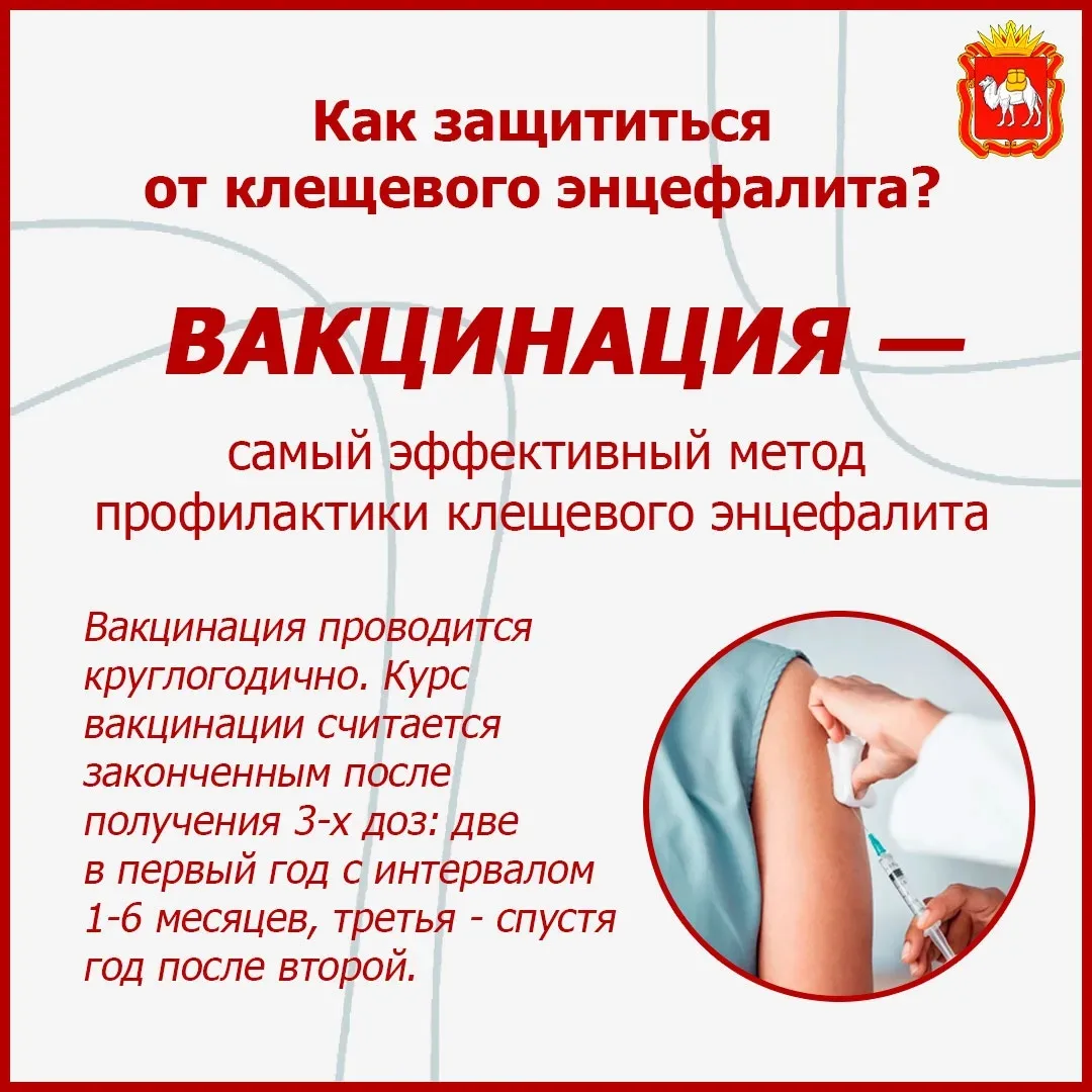 🌲 Клещевой энцефалит: как защитить себя?  Сезон активности клещей уже начался. Чтобы не рисковать зд