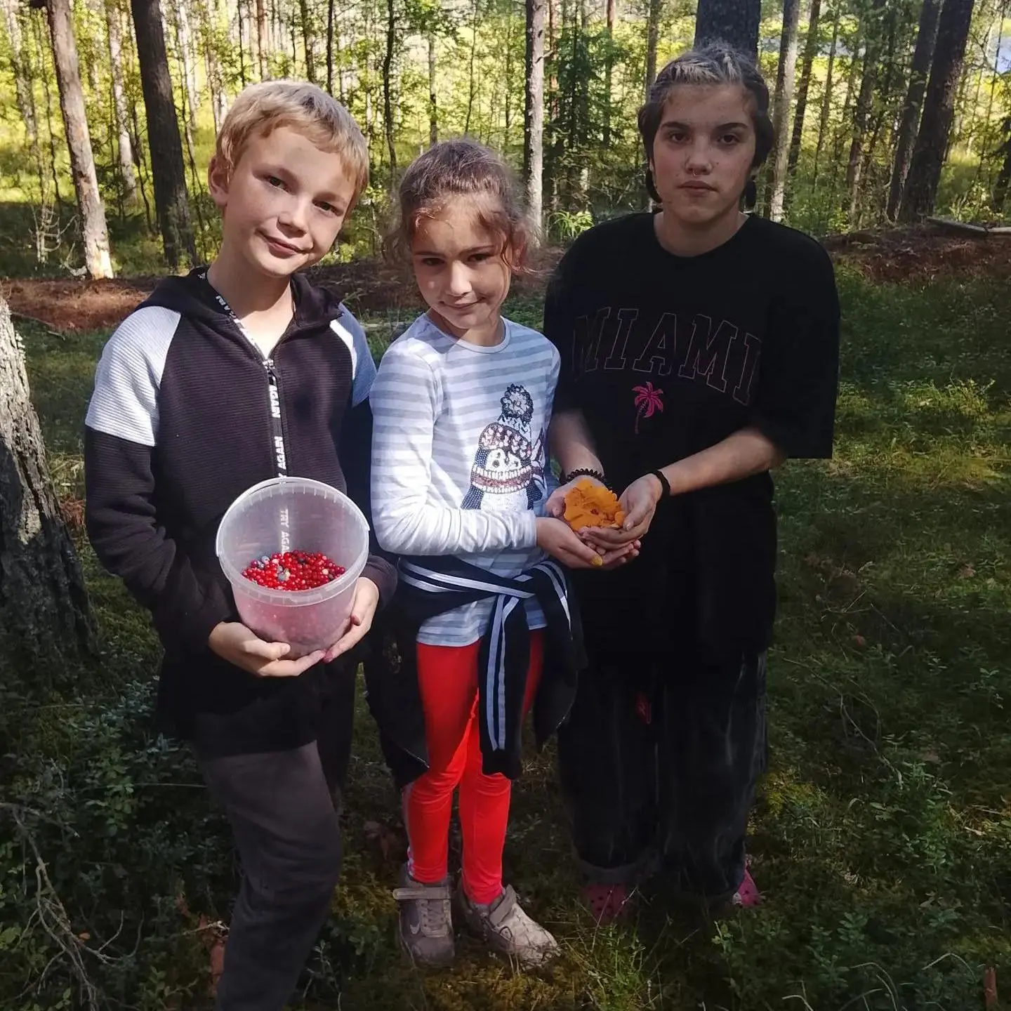 В Ленобласти продолжается тихий, уютный сезон сбора грибов и ягод — будто лето не тороп...