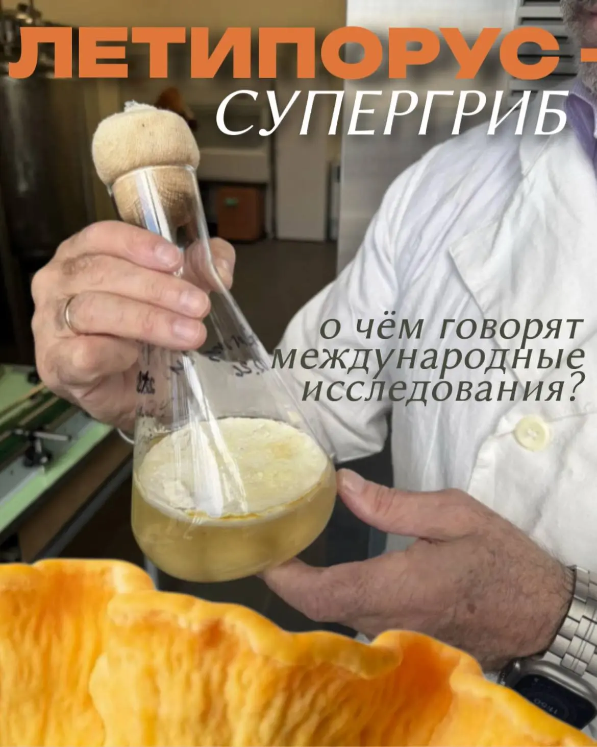 Летипорус - супергриб: о чём говорят международные исследования?