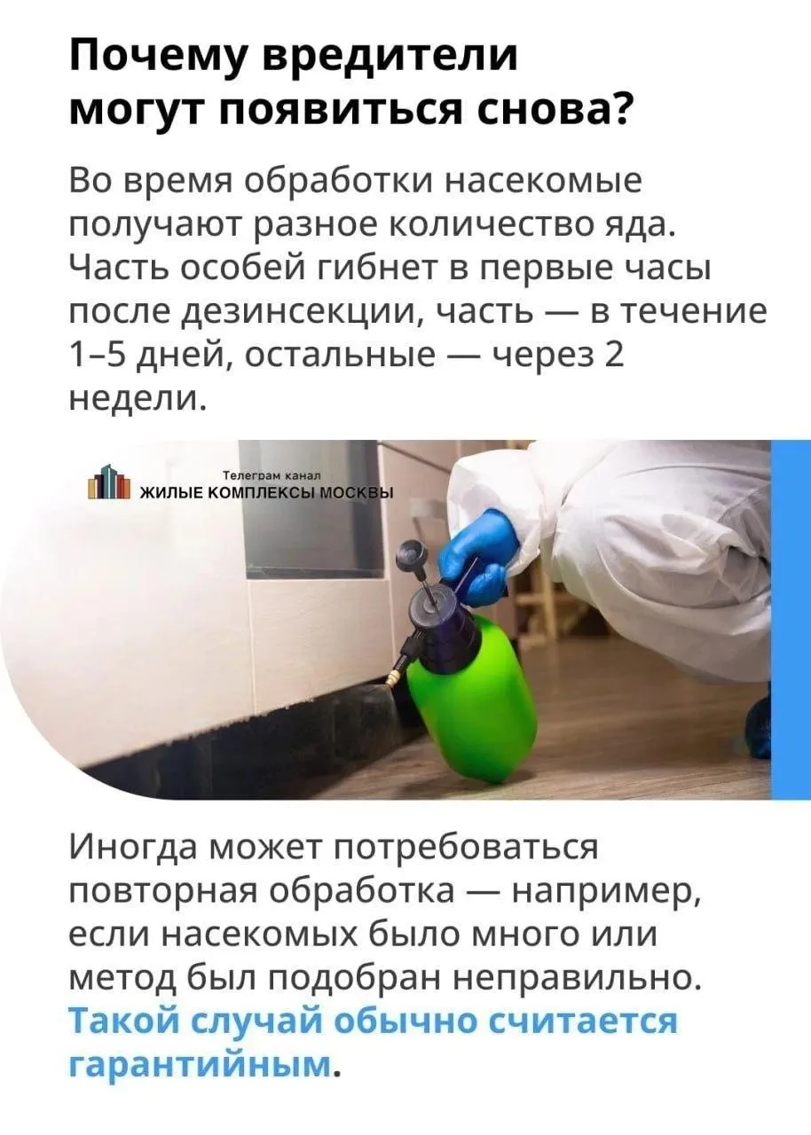 ☯️Про тараканов  ‼️Заметили таракана на лестничной клетке или в квартире?  ⚪️Насекомые в доме — сюрп