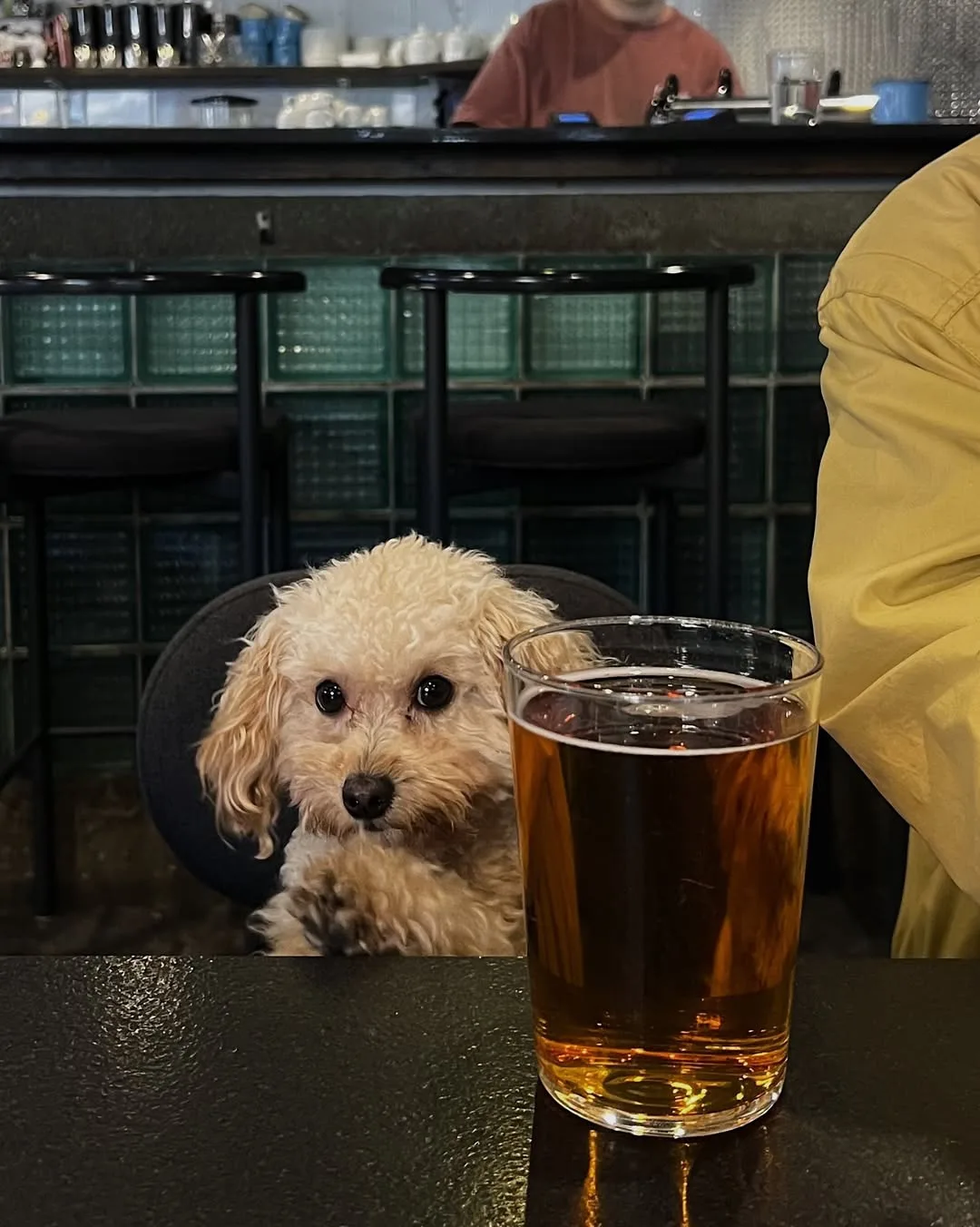 🍺 День пивной кружки отмечается сегодня.
