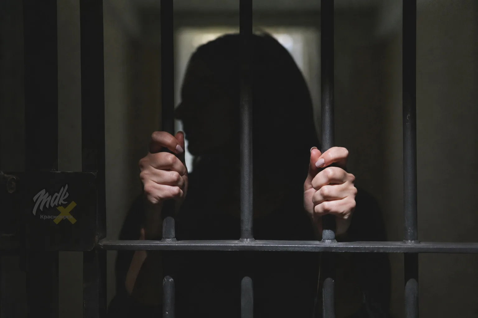 ⛓️ За «лёгкий заработок» студентке из Красноярского края грозит до 3 лет колонии