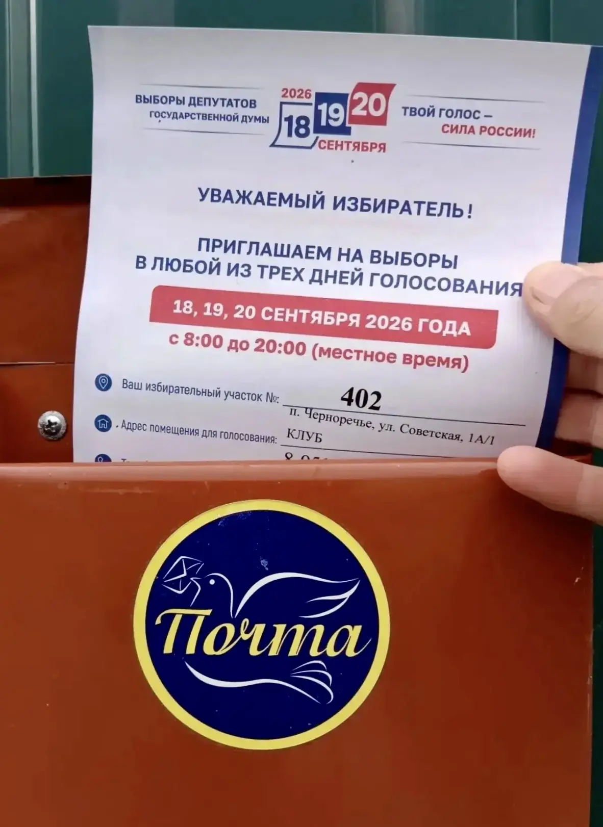 А ЧТО ДЕЛАЮТ ТИКи?