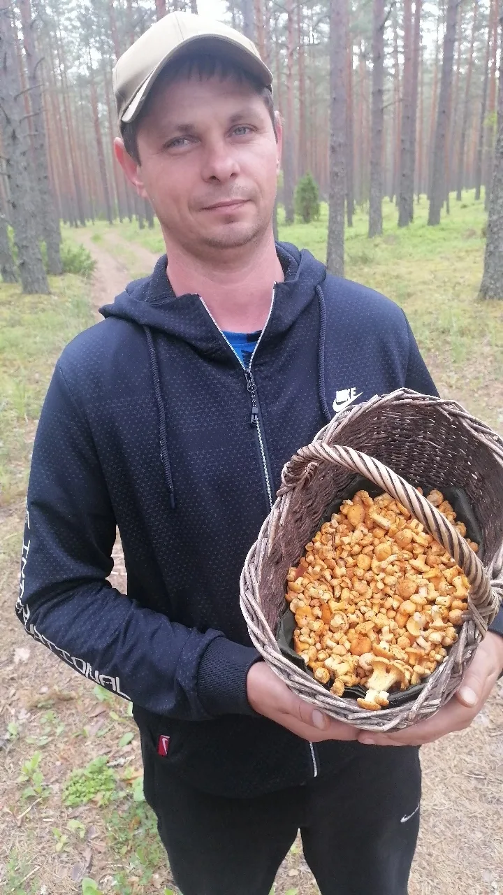 Ну вот мы и открыли лесной сезон! В лесу сейчас настоящая красота: маленькие ароматные ...