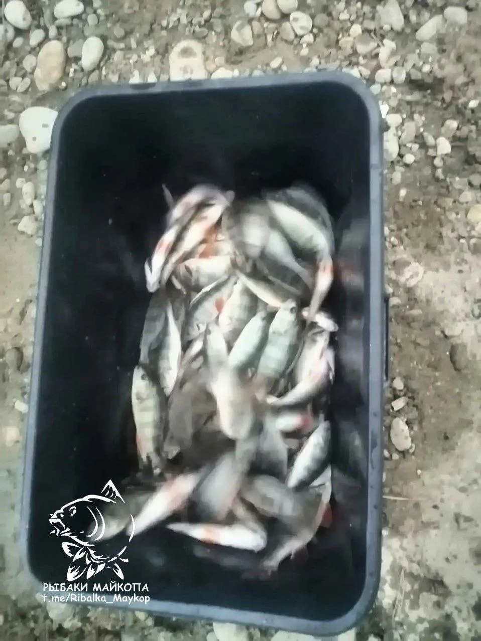 Беляевские карьеры