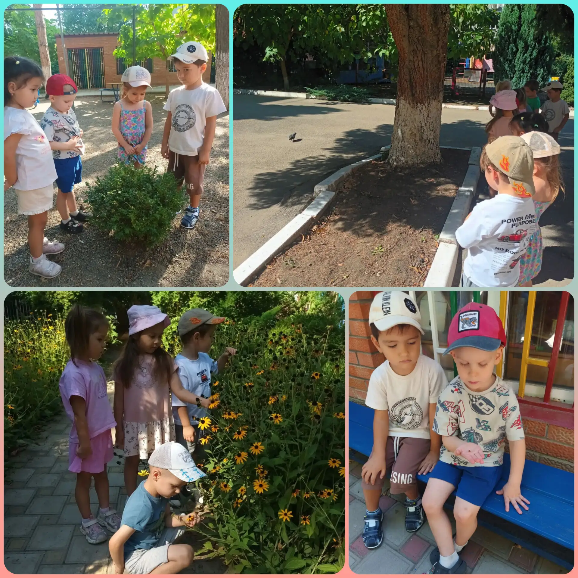 «Тайны живой природы» в группе «АБВГДЕЙКА» 🌿