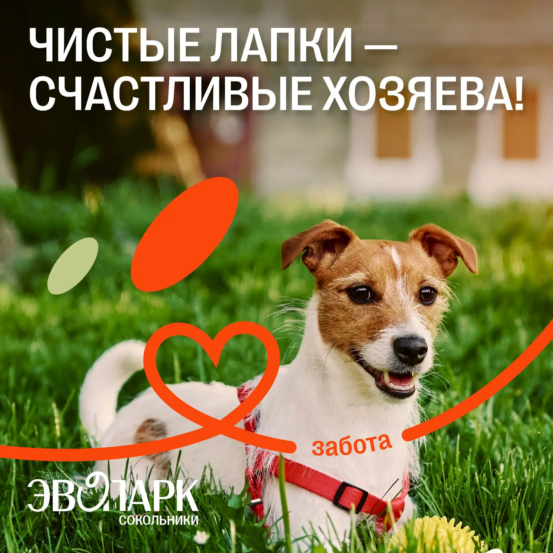 Скоро лето, а это значит — больше солнца, больше прогулок и, конечно, больше времени на...