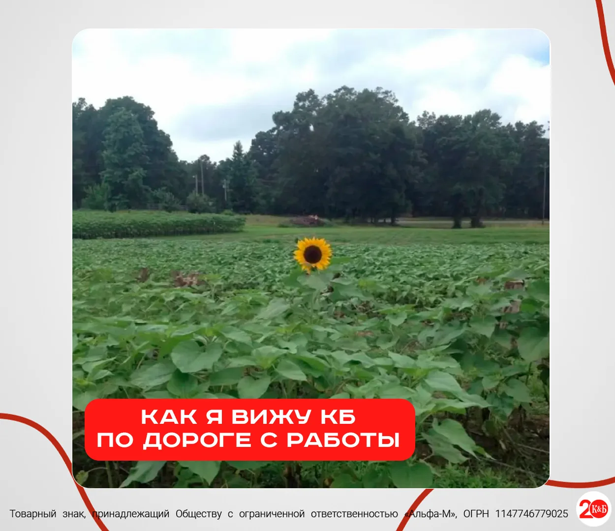 Особенно в пятницу😀