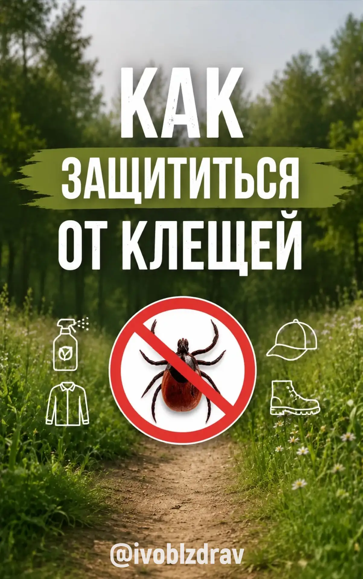 🔎 Как защититься от клещей: важные правила безопасности

Весной и летом клещи особенно активны. Отп