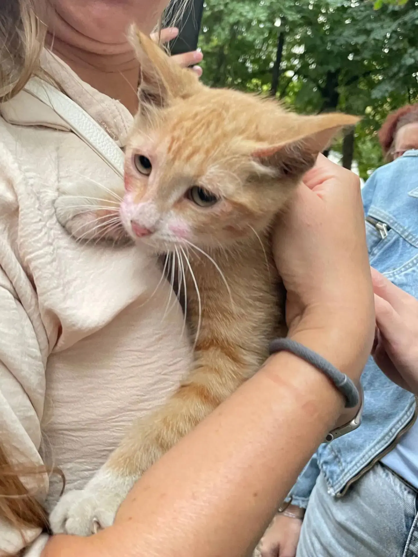 #ДежурнаяСмена • 12 августа 2026 г.