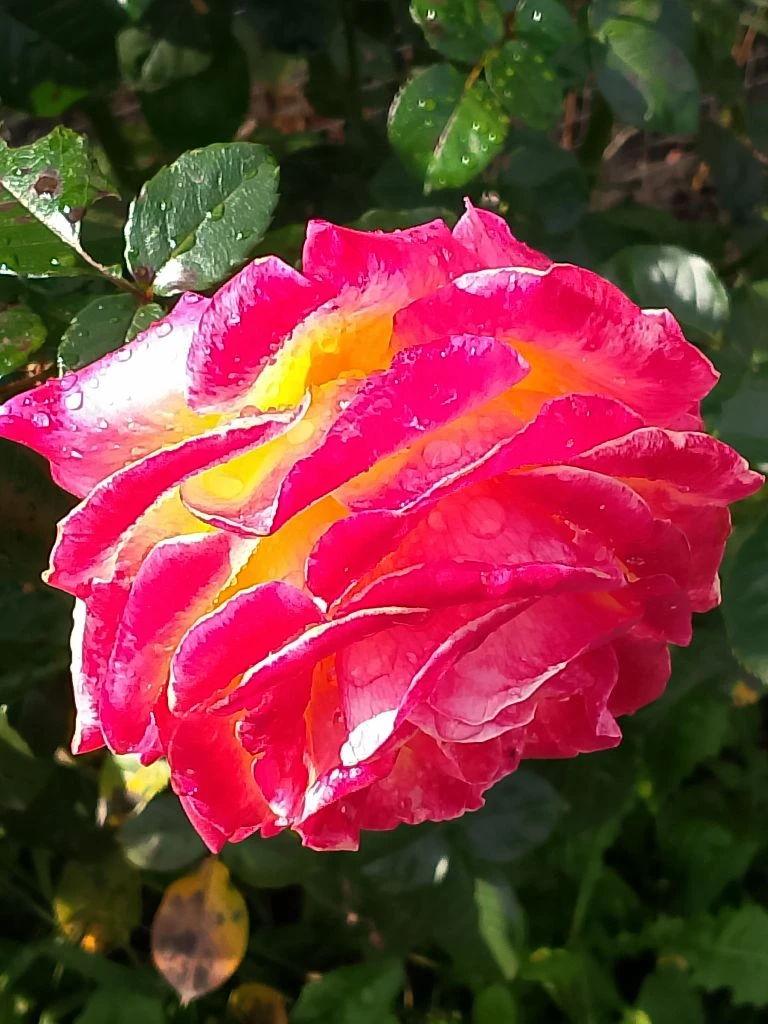 Фото