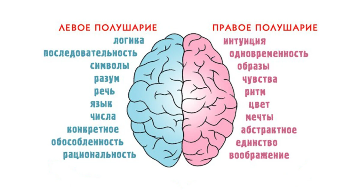 🧠 Правое и левое полушарие: какое отвечает за речь и что с этим делать? 🤔