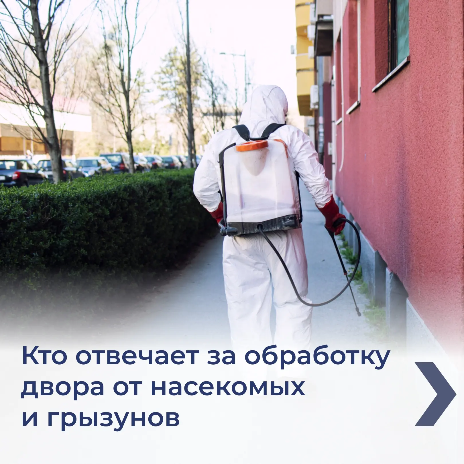🦟 Комары, муравьи, крысы — летом эта проблема особенно актуальна. Обработка подвалов и...