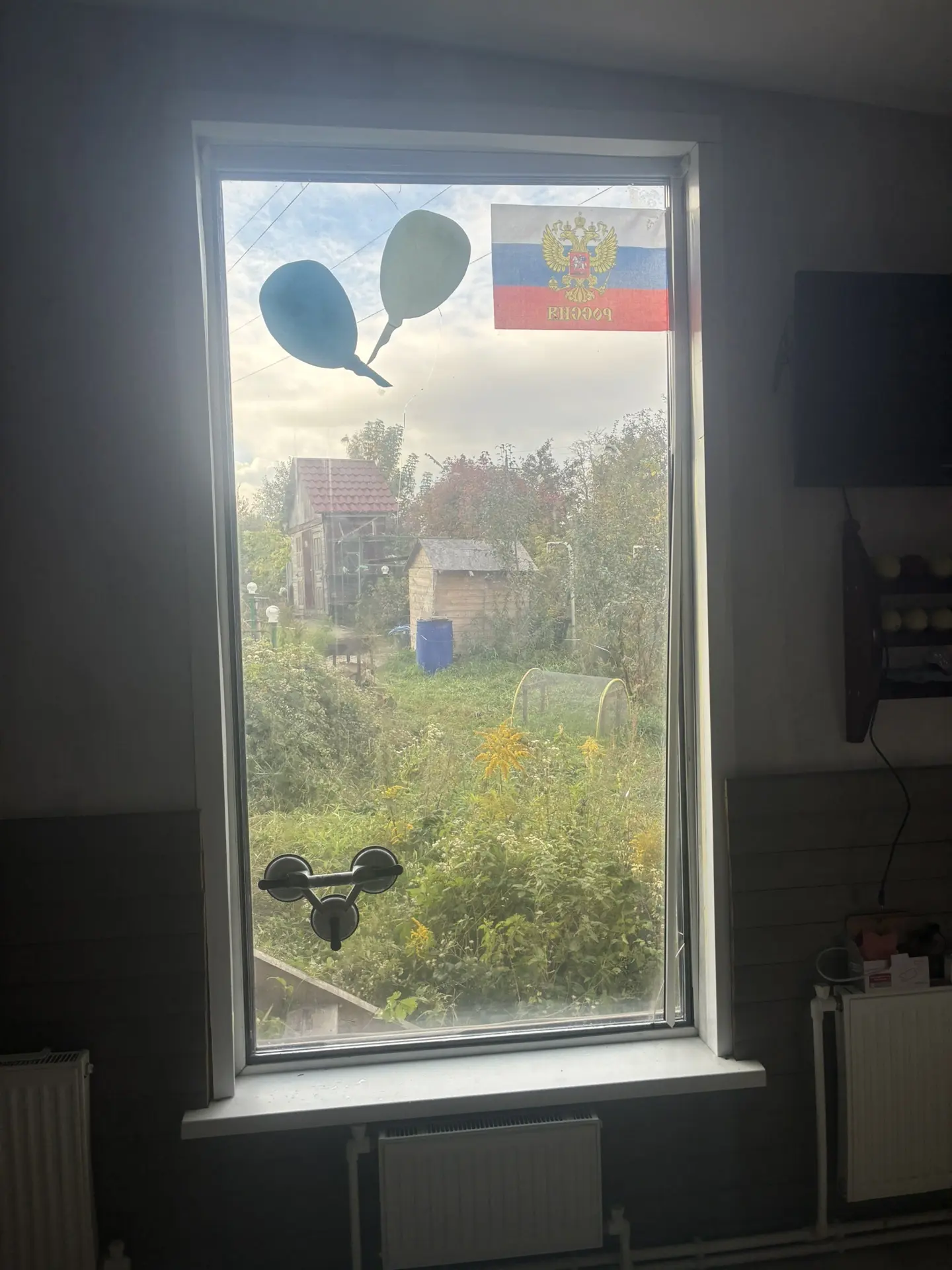 Видео
