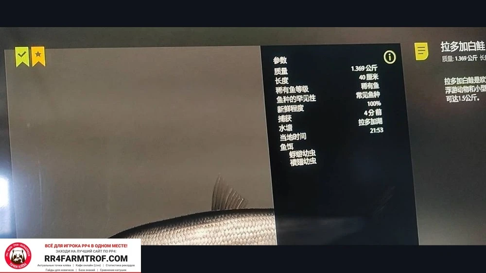 #ладожское@pp4farmtrof
Ладожское озеро
🇨🇳 Китай
СИГ ЛАДОЖСКИЙ ОЗЕРНЫЙ
Точка клева: 66:61
Глубина: 