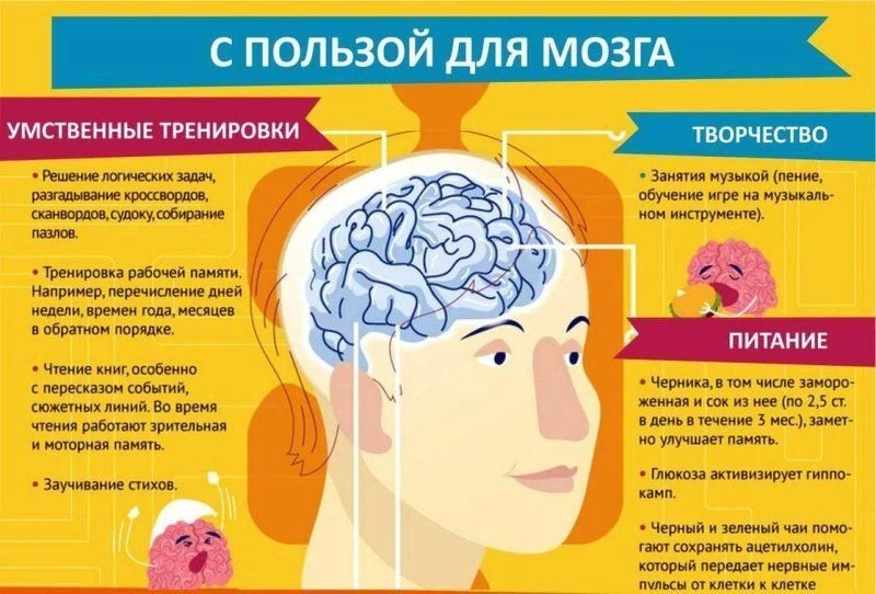 Что такое головной мозг?
Головной мозг – это основной орган, который управляет центральной нервной с