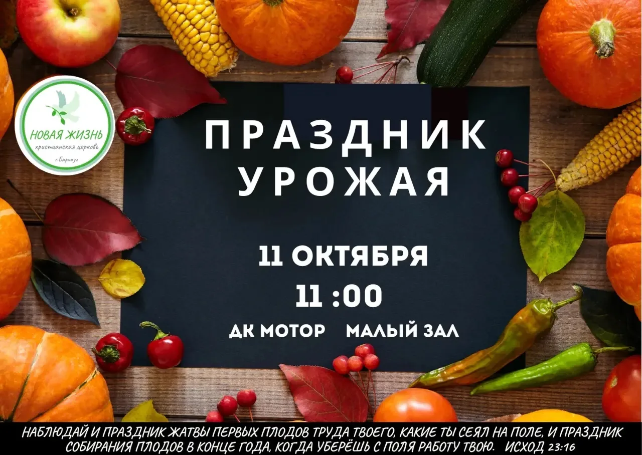 Праздник урожая !