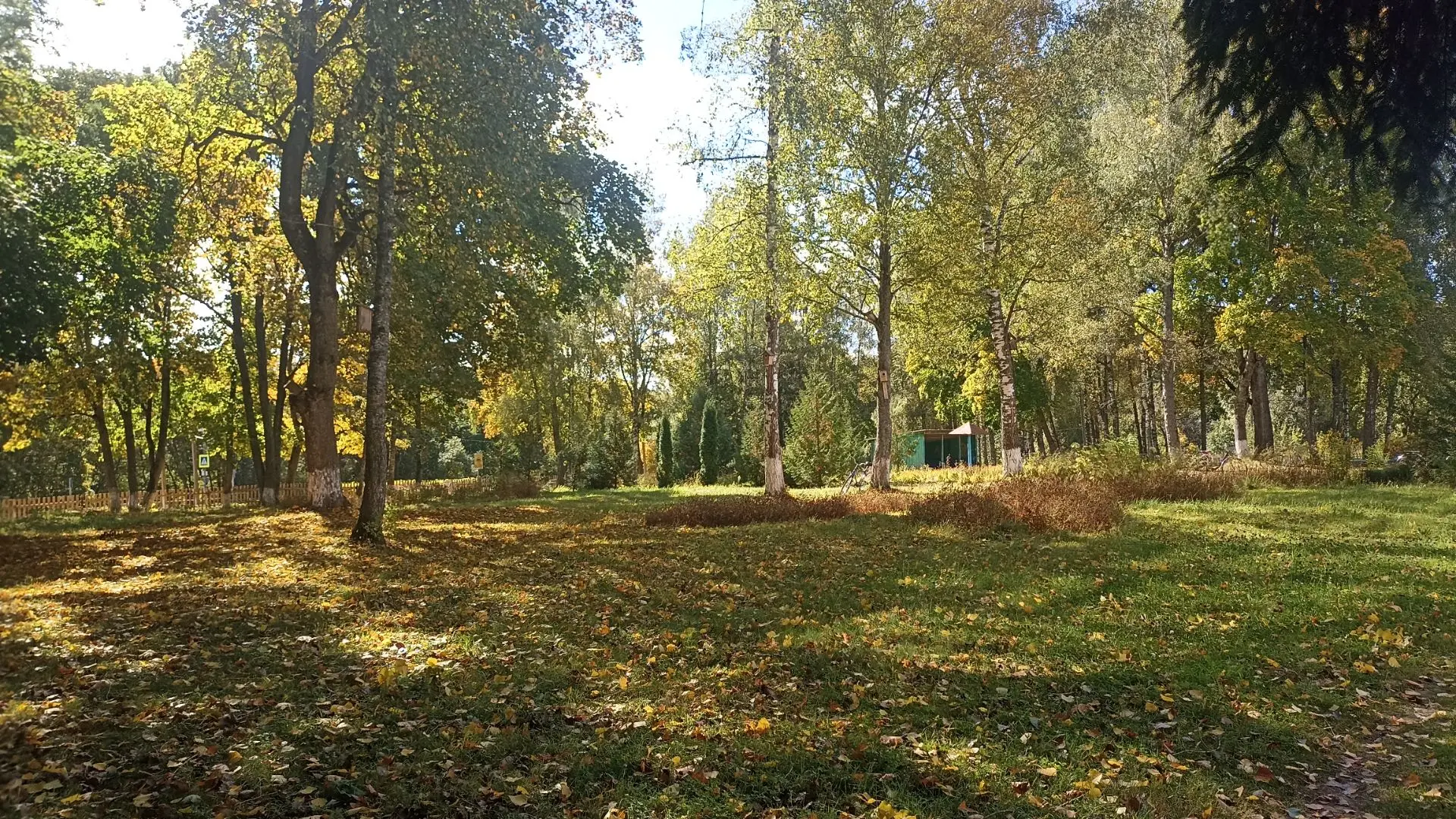 Осень❤