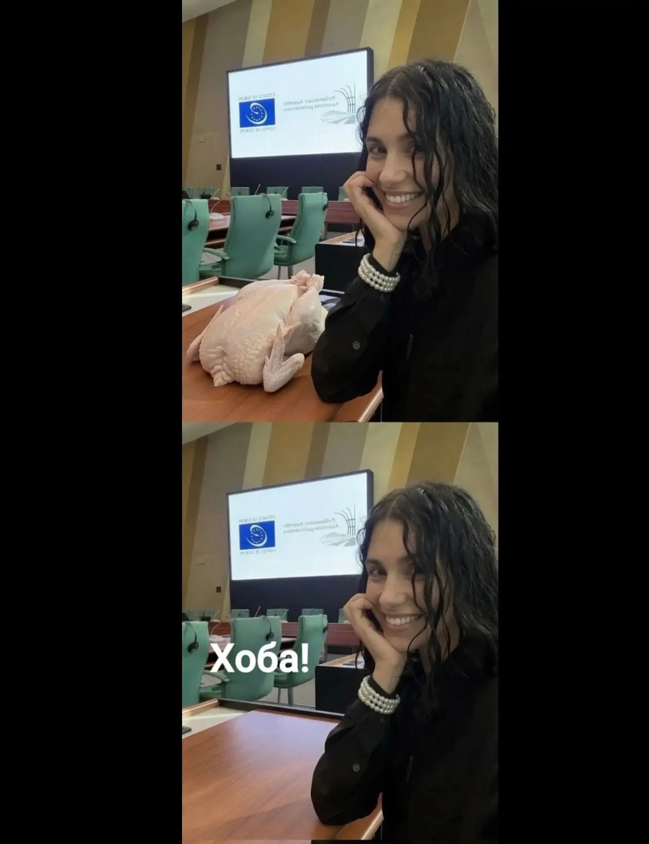 Тема курицы раскрыта полностью.
