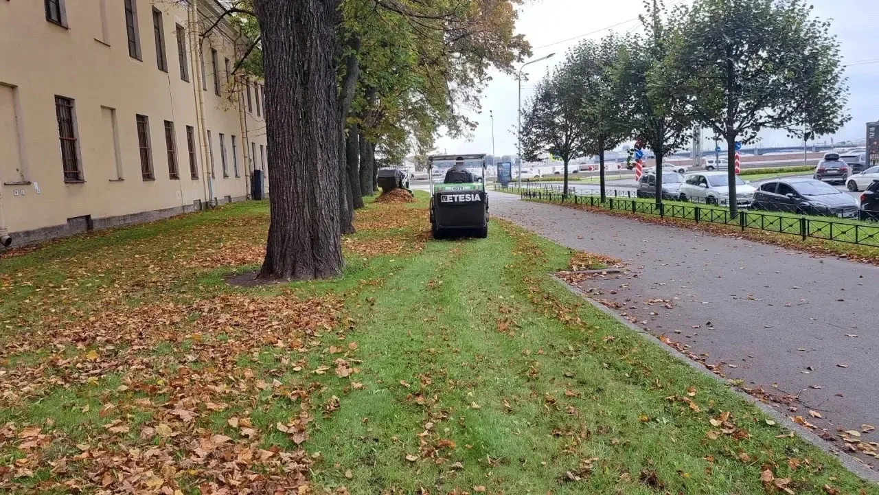 🍁 Начался месячник по благоустройству! 🍁