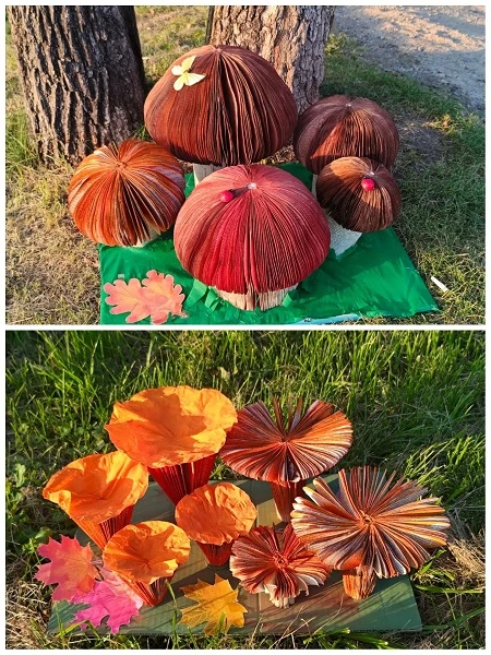 Грибная поляна