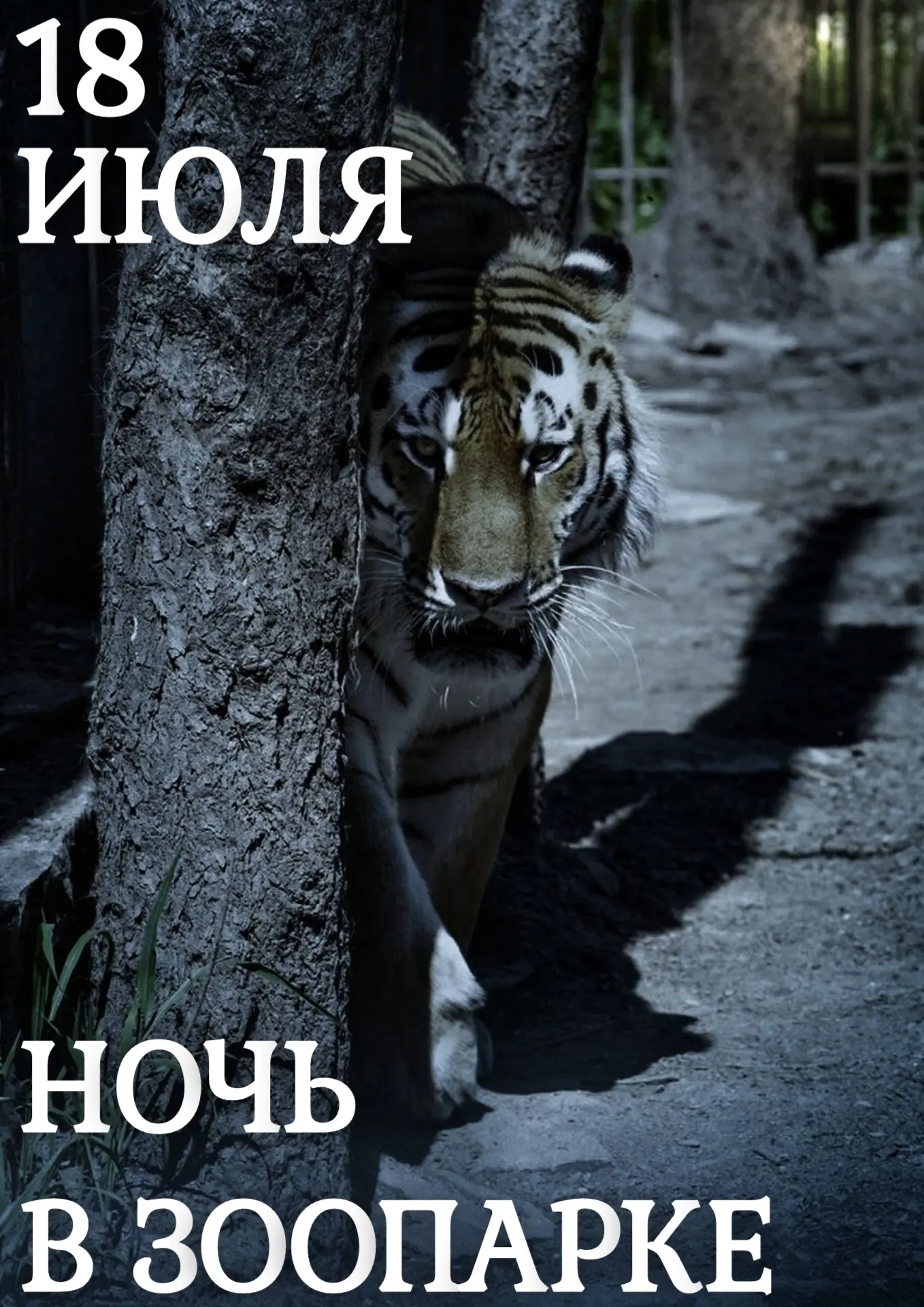 #ЗоопаркБольшеречье
Уже в эту субботу, 18 июля, Большереченский зоопарк погрузится во мрак для нашег