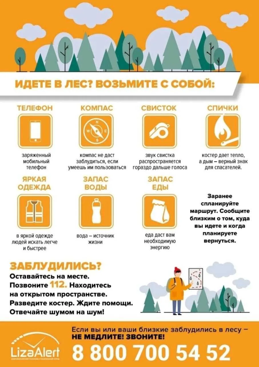 Идёте в лес? Возьмите с собой обязательно:
