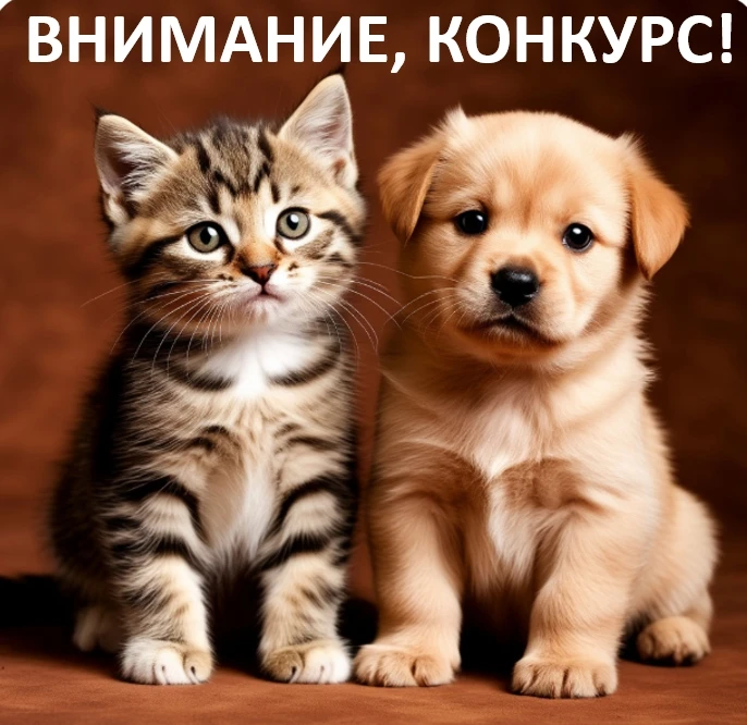 Медиагруппа «ЛИНТЕГА», формирующая отраслевой контекст в сферах АПК, ветеринарии и зоои...