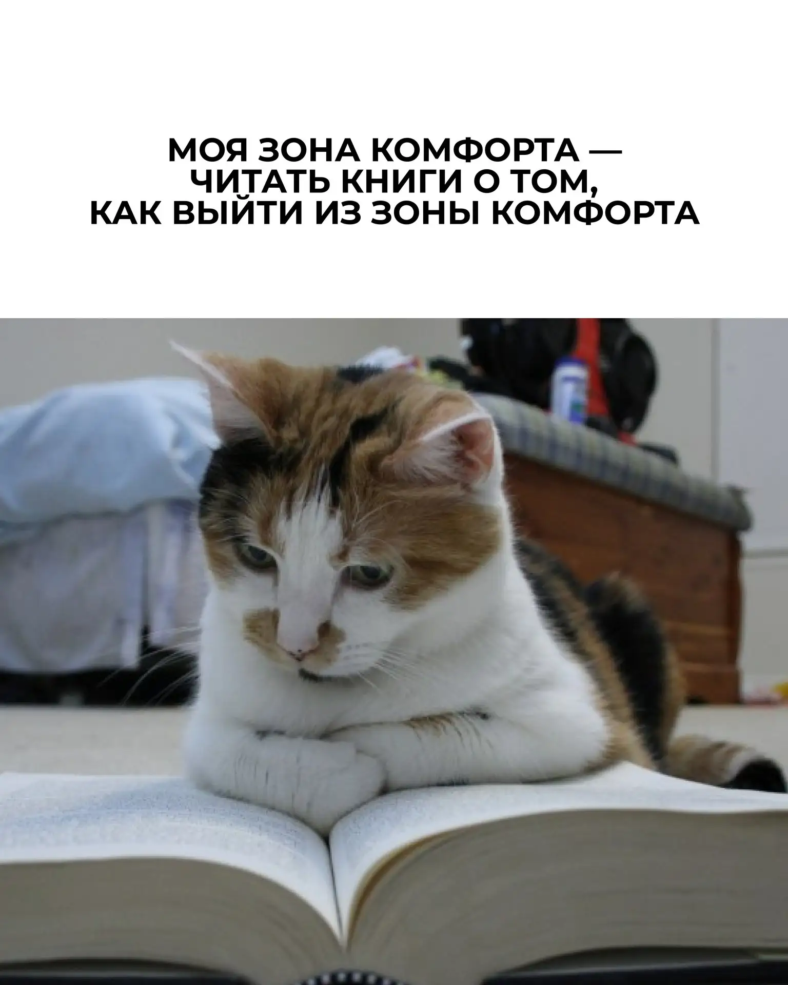 Доброе утро, книголюбы!