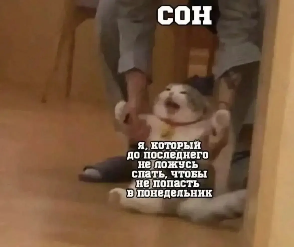 Не дают поспать...

🔈МУЗЫКАЛЬНЫЙ БОТ: @id312331080157_3_bot
(найдёт и скачает любой трек/песню)