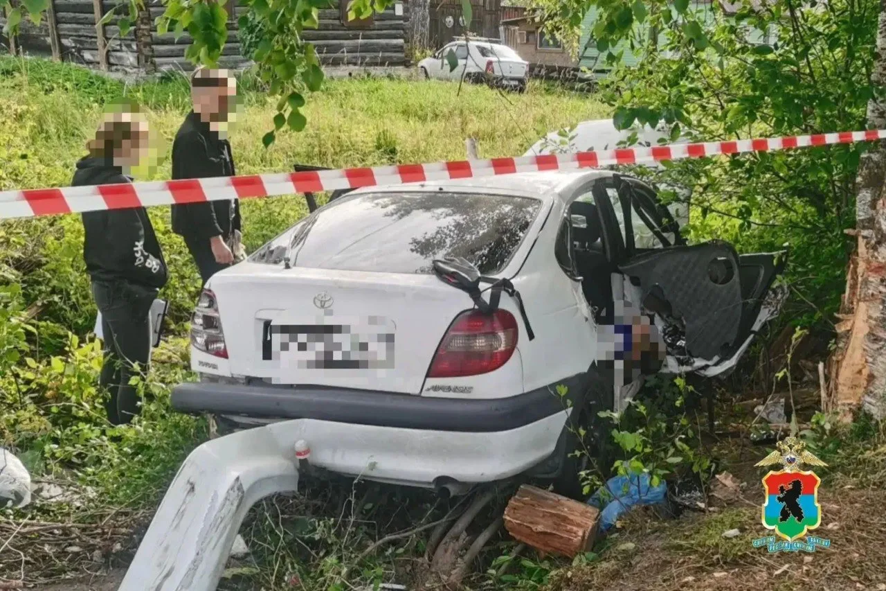 Молодой пассажир погиб в ДТП под Медвежьегорском.