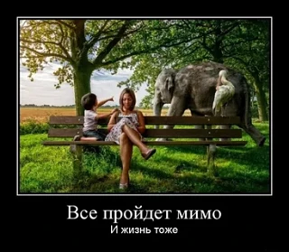 Жизнь — это череда выборов, и часто мы делаем их на автопилоте. Чтобы не пропустить жиз...