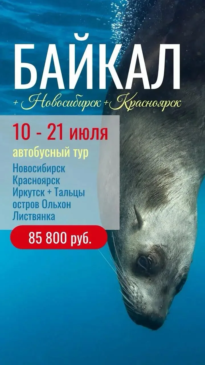 Пишите ✍️вышлю программу тура👇