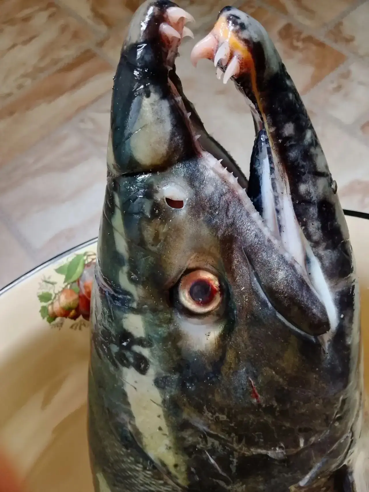 Наши ПОЛЕЗНЫЕ  Каналы