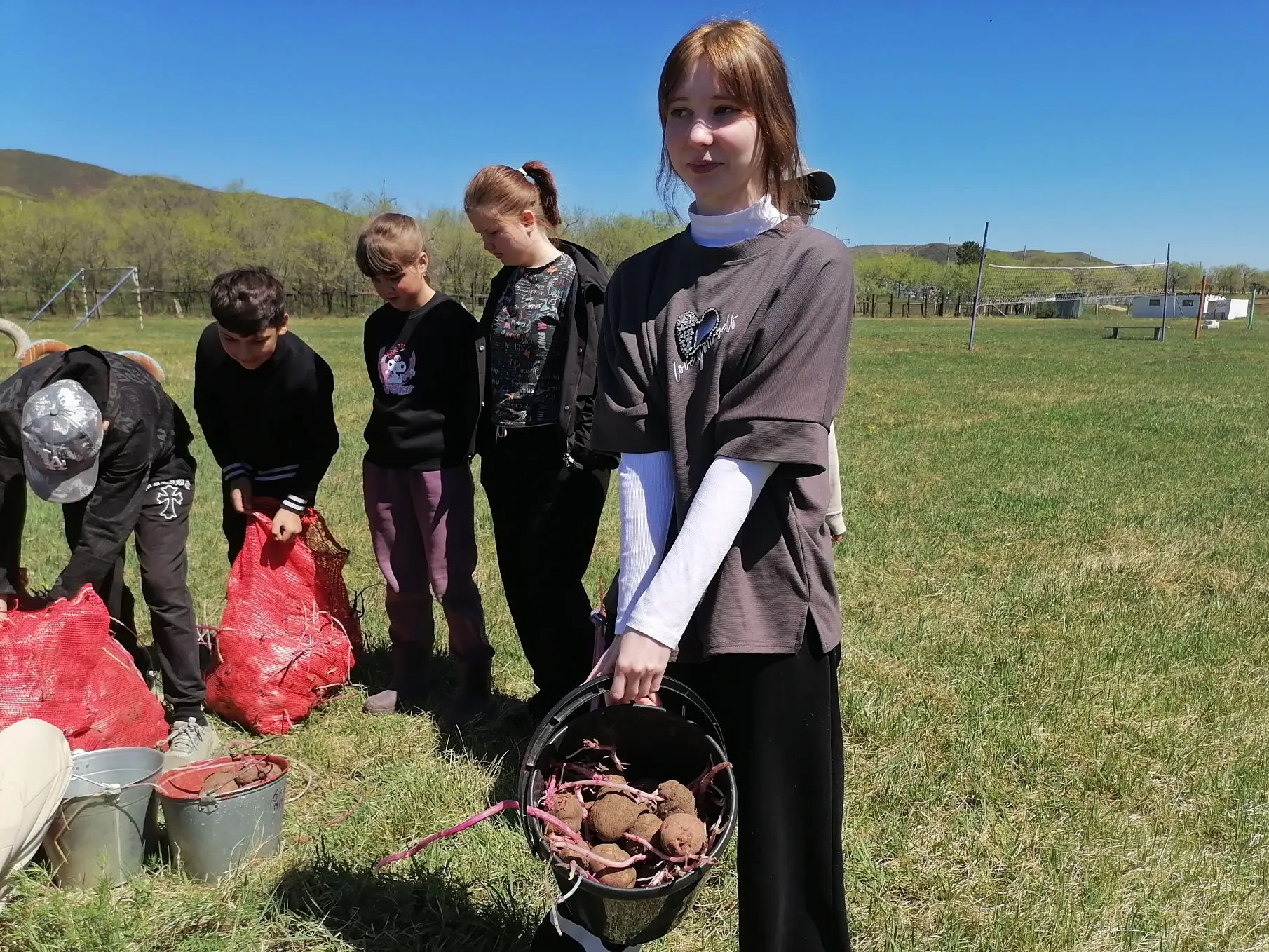 Добрые дела в нашей школе: мы посадили будущее! 🥔🌱