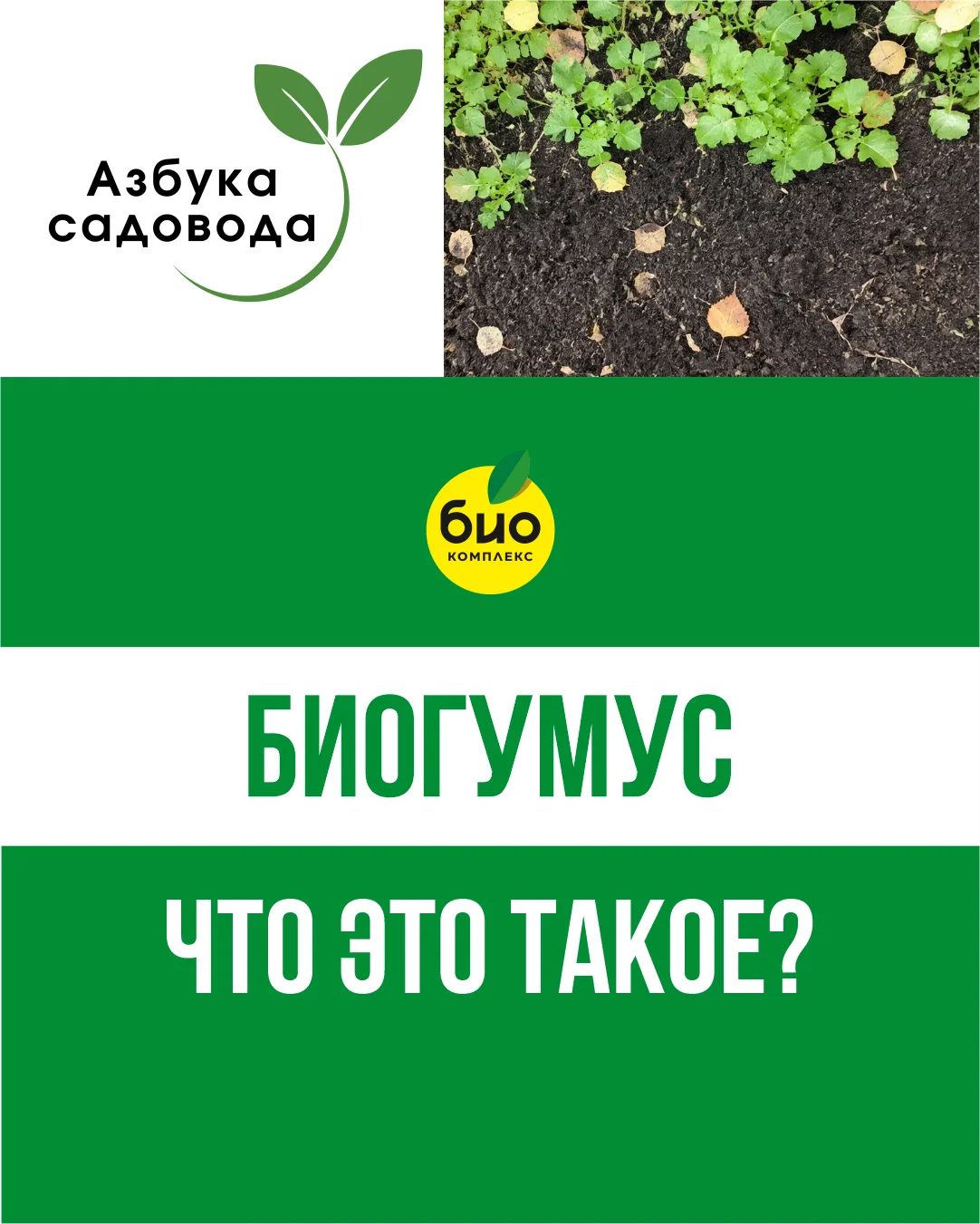 Биогумус — это натуральное органическое удобрение, которое образуется в результате пере...