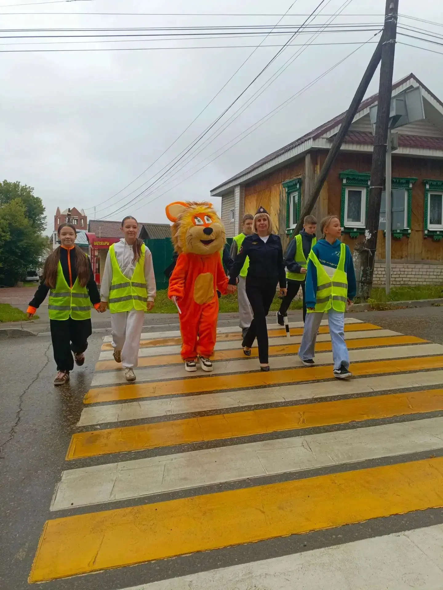 В Павлове водителям и пешеходам напомнили о безопасности на дорогах