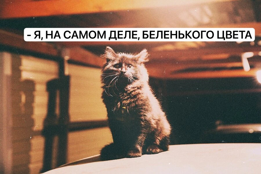 Доброе утро, ростовчане!