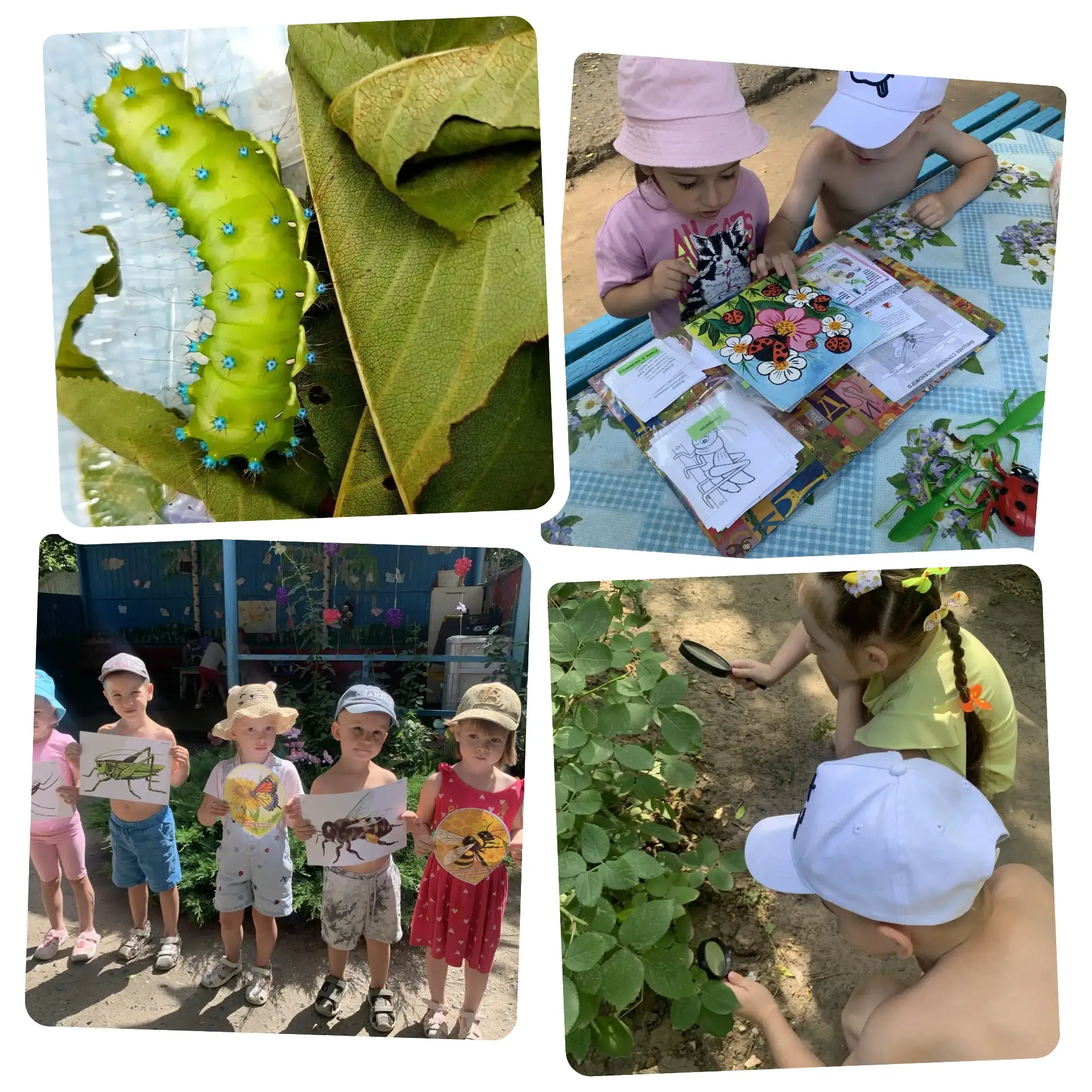 Азбука безопасности 

"Осторожно, насекомые🐞🪳🦋"

1. Если увидели осиное гнездо, понаблюдайте за е