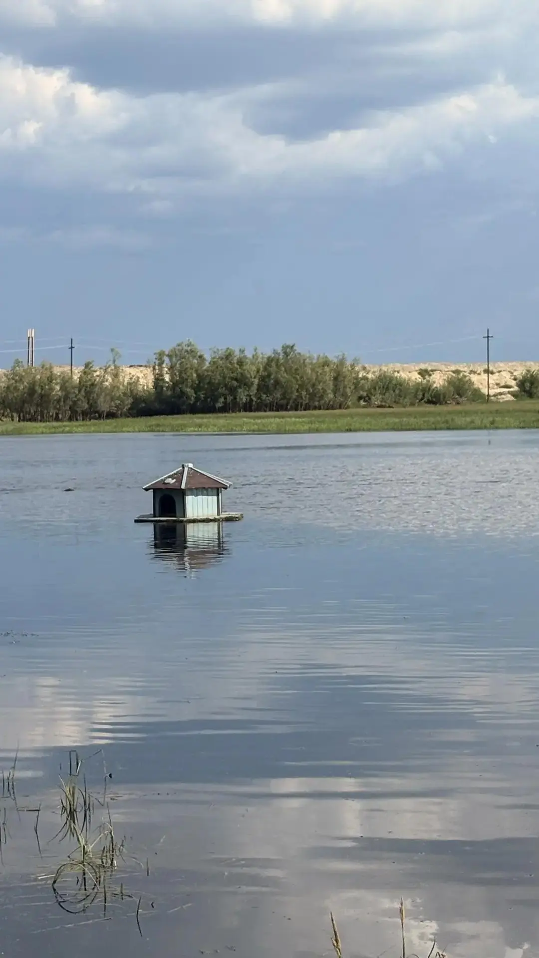 Лесной комплекс «Ягом» — это уголок, где природа гармонично сочетается с вниманием человека. 🌿🌳 Те